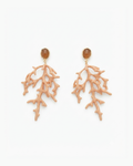 Pendientes de acero coral nude